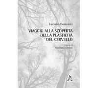 Viaggio alla scoperta della plasticità del cervello