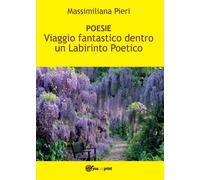 Viaggio fantastico Dentro un Labirinto Poetico di Massimiliana Pieri, 2016