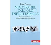 Viaggio nel calcolo infinitesimale. Un'avventura matematica dalla mela di Newton alla chitarra elettrica