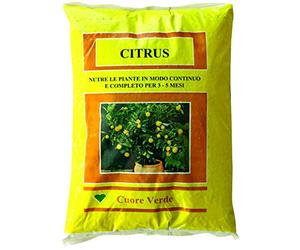 Vialca CONCIME SPECIFICO per Limoni AGRUMI E ARANCI Citrus 5KG con SEQUESTRENE A LENTA CESSIONE - Questo Prodotto E' DISCIPLIANTO dal REGOLAMENTO (UE) 2019/1148