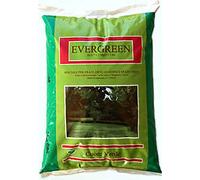 Vialca Evergreen 5KG CONCIME NPK con MAGNESIO E Ferro - Prati SPAZI Verdi E Giardini