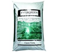 Vialca Evergreen CONCIME Minerale per Prati SPAZI Verdi E Giardini kg 25