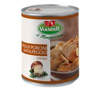Viander - Funghi porcini dell’alpeggio da 800g