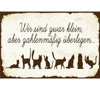 vianmo Insegna di latta 12x18 cm Wir sind zwar klein aber Überlegen Deco Regalo Insegna