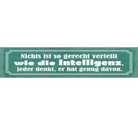 vianmo Targa in legno, 10 x 46 cm, scritta "Nulla è così equamente distribuita come l'intelligenza"