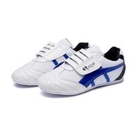 Viaoragiosa Scarpe da Taekwondo,Scarpe Taekwondo Traspiranti,Scarpe Boxe e Arti Marziali Leggere,Leggero,Non Facilmente deformabile,Resistente all'Usura,per Taekwondo,Karate,Kungfu E Taichi.