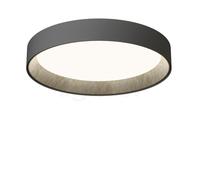 Vibia Duo Petra 4873 Lampada da soffitto LED, grafite - ø78,5 x 12,5 cm - 2.700 K - DALI/1-10 V/Push