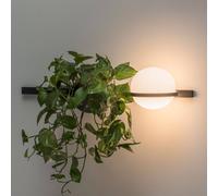 Vibia Palma 3702 applique, vaso piante, grafite Vibia