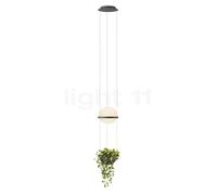 Vibia Palma 3724 Lampada a sospensione LED - con vaso per piante
