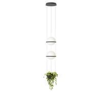 VIBIA Palma lampada a sospensione LED 2 luci, 372818/1B, Palma [Lampade per Interni > Lampade a Sospensione]