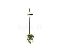 Vibia Palma Lampada da parete LED verticale - con vaso per piante, grafite - 114 cm - 1-10 v/push