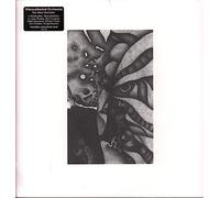 Vibracathedral Orche Rec Blast Motorbike (Vinyl LP)