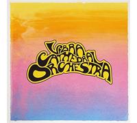 Vibracathedral Orche - Vibracathedral Orchestra