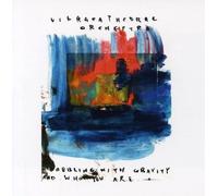 Vibracathedral Orchestra - Dabbling With Gravity & Who You Are