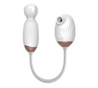 Vibratore Altalena femminile a 10 velocità Uovo vibrante Giocattoli sessuali per adulti Per Masturbatore per donna Lecca clitoride Giocattoli erotici per negozi di sesso