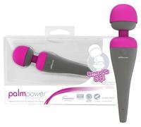PalmPower Wand Massager
