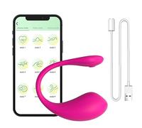 Vibratore Sfere vibranti di controllo APP di controllo a lunga distanza Vibratori Bluetooth indossabili con punto G Giocattoli sessuali Uovo vibrante