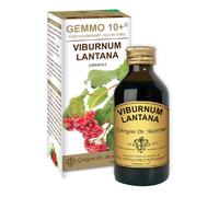 DR.GIORGINI SER-VIS Srl VIBURNO LIQUIDO ANALCOLICO GEMMO 10+ 100 ML