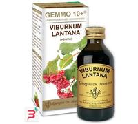 Dr Giorgini Integratore Alimentare, Viburno Gemmoderivato Concentrato Liquido Analcoolico - 100 ml