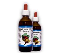 Viburnum Lantana 50 Ml Mg