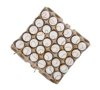 VICASKY 1 set di portauovo simulato porta uova finte da morire contenitore per uova, scatola per uova di Pasqua, decorazione pasquale, artigianato di carta, bianco