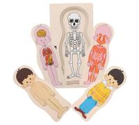 VICASKY 1 Set Puzzle Sugli Organi Del Corpo in Legno Enigmistica Per Giocattoli Per Gli Organi Del Corpo Puzzle Sugli Organi Del Corpo Umano Strumento Cognitivo Umano Di Legno