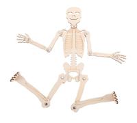 VICASKY 1 Set Strumenti Di Insegnamento Dell'assemblea Scheletro Umano Anatomia Umana Figura Scheletrica Educativo Anatomico Piccolo Scheletro Giocattolo Per Beige Legno Di Pino