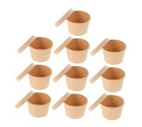 VICASKY 10 set Coppette Gelato con in Kraft Contenitori Monoporzioni per Dessert Yogurt e Pudding per Gelateria e Asporto