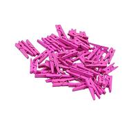 VICASKY 100 Mini Mollette in 2.5Cm per Foto e Resistente e 100 Pezzi