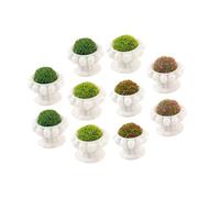 VICASKY 10pcs Piante Modello Parti Colorato Bonsai Decorazione Per La Casa delle Bambole E Giardini In Miniatura Piante Artificiali Realistiche Per Progetti Creativi Fai Da Te E Accessori Per La Casa