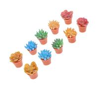 VICASKY 10pcs Plastica Piante Decorazioni Creative Bonsai Accessori Per Casa Delle Bambole E Micro Paesaggi Viventi Piante Grasse E Piante Acquatiche Per La Progettazione Di Casa