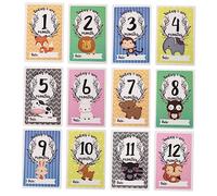 VICASKY 12 Pezzi Mese per Commemorative Multifunzionali per Fotografie per Registrare Speciali nel Primo