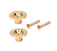 VICASKY 2 Pezzi Accessori per Chitarra Elettrica String Tree in Acciaio Dorato con Viti Guida per Corde di Chitarra Resistente e Prolunga la Durata delle Corde Ricambio per Parti