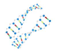 VICASKY 2 pezzi Kit Struttura Dna con Doppia Spirale Molecolare Educativo per Studenti e Laboratori Struttura Realistica per Insegnamento Biologia Scuola Superiore e Università