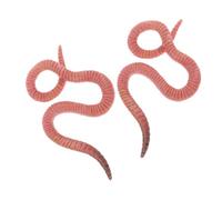 VICASKY 2 pezzi modello di insetti robot vermi per la pesca miracolosa picchio lombrichi animali esterni simulazione animale lombrichi figure animali plastica rosa