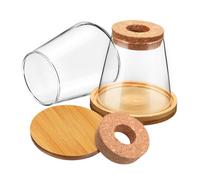 VICASKY 2 vasi per terrario per piante idroponiche, con tappo in legno e sottobicchieri in bambù, elemento decorativo per amanti delle piante e regali per la casa