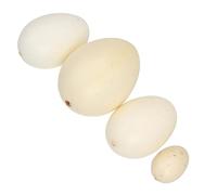 VICASKY 4pcs Uccello Uovo Modello Uovo Realistico Uova Simulazione Per Giovani Ragazze Giocattoli Ed Esercizi Di Pittura Uova Realistiche In Varie