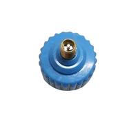 VICASKY Adattatore per Pompa Gonfiabile Sup Adattatore per Pompa Elettrica con Attacco Standard Colore Blu Compatibile con Compressori