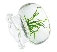 VICASKY Ciotola Di Pesce In Miniatura Decorazione Accessori Realistici Per Casa Doll E Micro Paesaggi Per Progetti E Scene In Miniatura