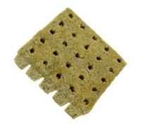 VICASKY Coltivazione in 100 Pezzi Kit per Germinazione Mung Bean Arachidi e Piante da Design Pratico e Facile Trapianto
