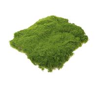 VICASKY Decorazione artificiale per fai da te, in miniatura, paesaggio muschio, decorazione da tavolo e progetti artigianali e durevole