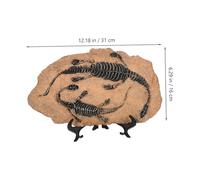 VICASKY Esemplare Fossile Dinosauro in Fossile Decorativo Da Tavolo Per Ragazzo Ragazza Ragazza e Didattico Per Insegnanti