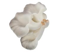 VICASKY Funghi Decorazione da cucina Funghi Modello Funghi Decorativi Funghi Decorazioni Funghi Per Esterni Decorazione della vetrina Con Funghi Decorazione Giardino Di Funghi Per Bonsai Pu