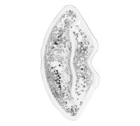 VICASKY Gel Pack Per Labbra e Occhi Impacco Raffreddante Forma Di Labbra Con Decorazioni Glitterate Multifunzionale Per Zone Sensibili Borsa Rinfrescante Riutilizzabile Per Trattamenti Di