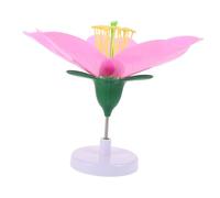VICASKY Modelli Di Fiori Di Pesco Per L'istruzione in Biologia Modelli Di Pesco Replicati Strumento Didattico Per La Biologia Modelli Di Teoria Dei Fiori Di Pesco Attrezzatura