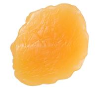 VICASKY Modello Anatomico del Grasso Umano Realistico da 1kg per Lezioni | Tpe Giallo, Texture Autentica e Durevole, per Docenti, Clinici, Supporti Espositivi e Pianificazione Dietetica