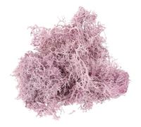 VICASKY Muschio Artificiale Decorativo per Pareti Casa e Giardino, Porpora | Vasi e Bonsai, Plastico Leggero, Effetto Ornamentale, Riutilizzabile, senza Acqua, per Progetti DIY