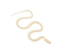 VICASKY Real Snake Skeleton Display Autentico Specimen Di Ossa Di Serpente Per Educazione Scientifica e Decorazione Da Scrivania Strumento Didattico Per Collezionisti