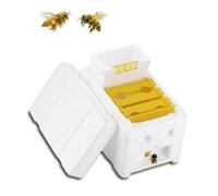 VICASKY Scatola di Accoppiamento per Api in Polistirolo Pratica e Durevole Accessorio Apicoltura Tecnica per Allevamento Api Strumento Sicuro e Facile da Usare