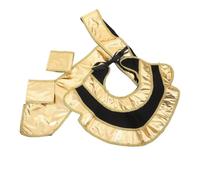 VICASKY Set Accessori Costume Faraone Egiziano da Uomo Cintura e Collare Vintage per Feste e Giochi di Ruolo Halloween